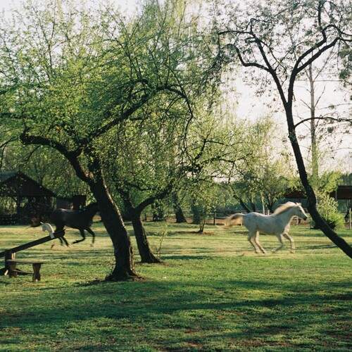 Photo #13083911