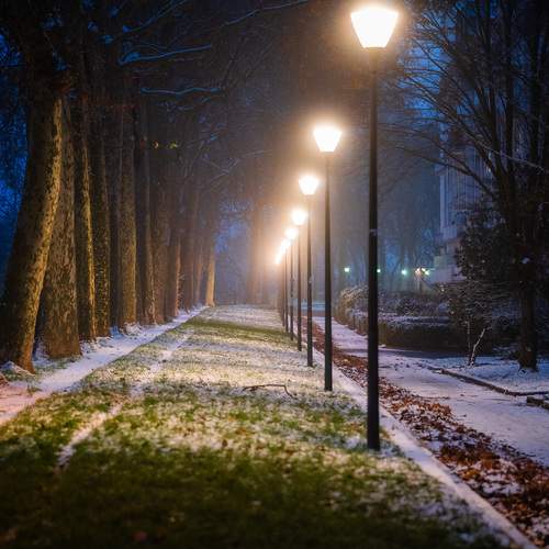 Photo #13083980