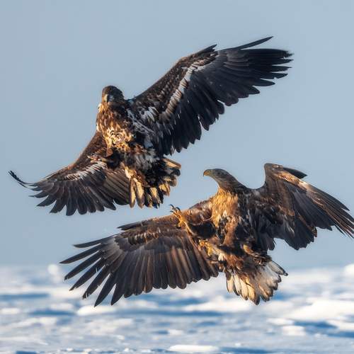 Фотография #13084085