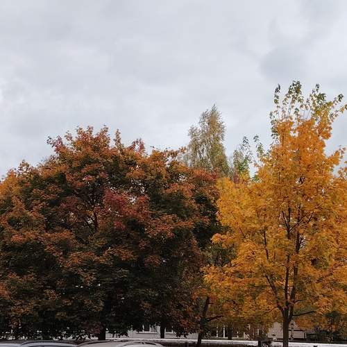 Photo #13084133