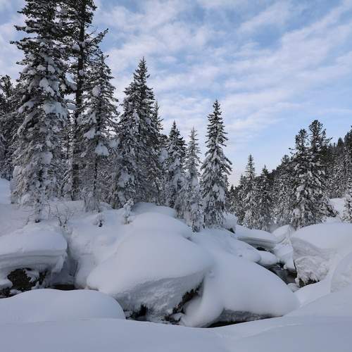 Photo #13084188