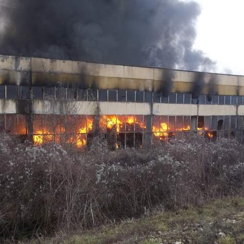 Photo #13084379