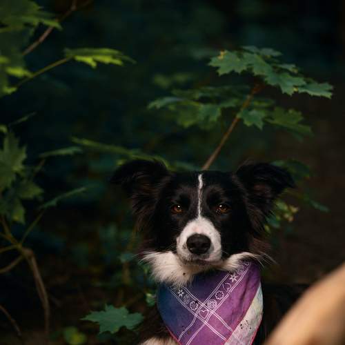 Photo #13084398