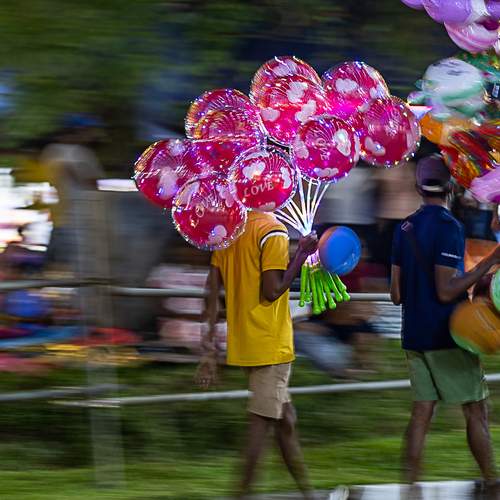 Life in Motion