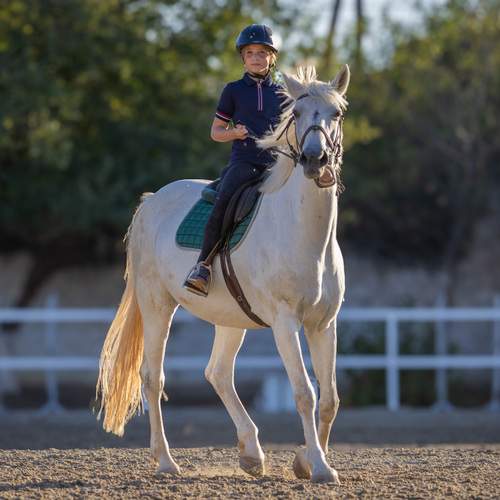 Photo #13084476