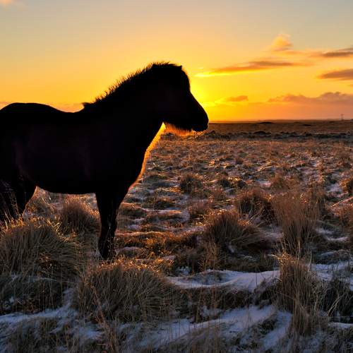 Photo #13084555