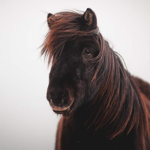 Photo #13084559