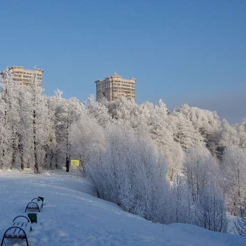 Photo #13084733