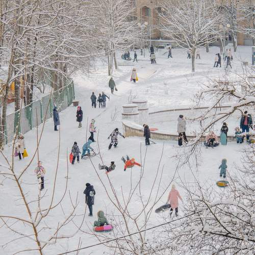 Photo #13084749