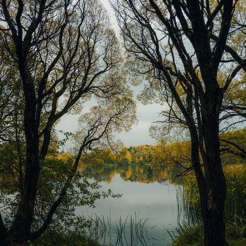 Photo #13084750