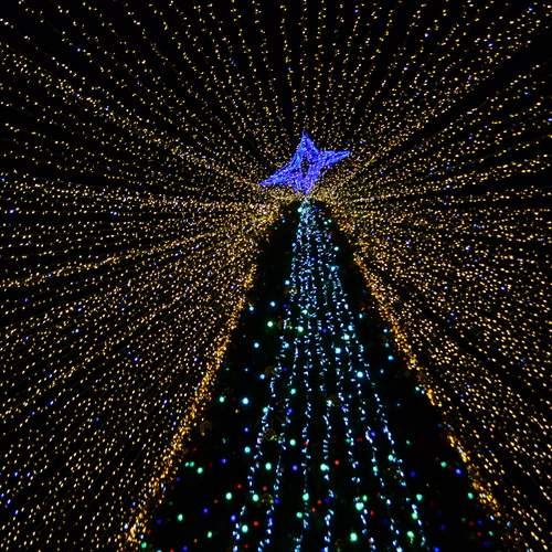 Photo #13084908