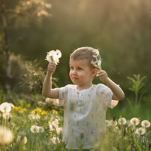 Фотография #13084955