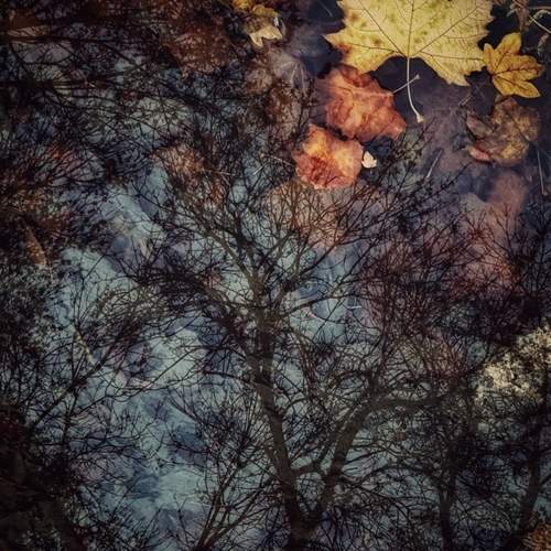 Photo #13085053