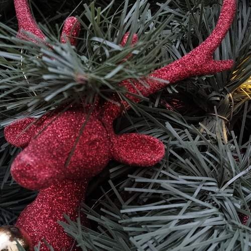 Photo #13085072