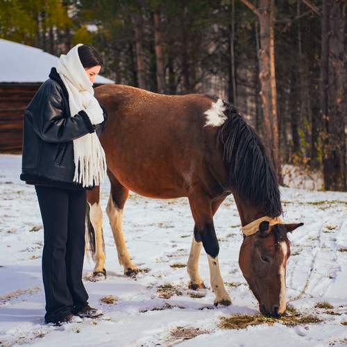 Photo #13085123