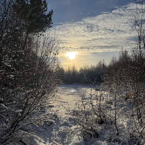Photo #13085190