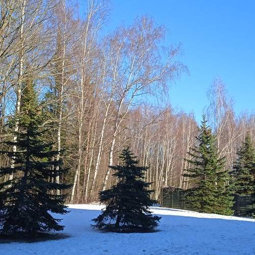 Photo #13085334
