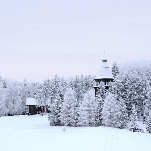 Photo #13085428