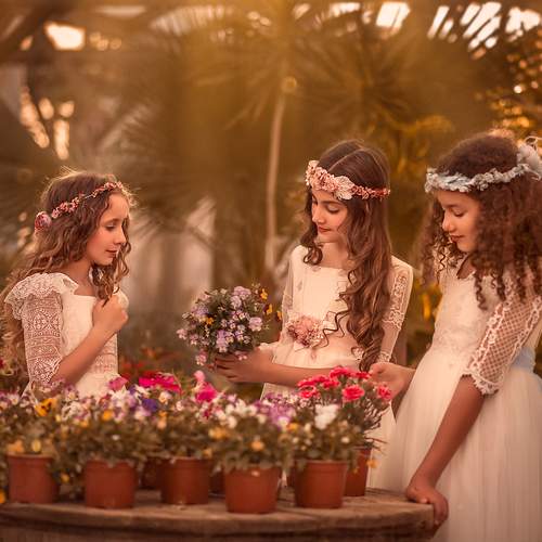 Фотография #13085458