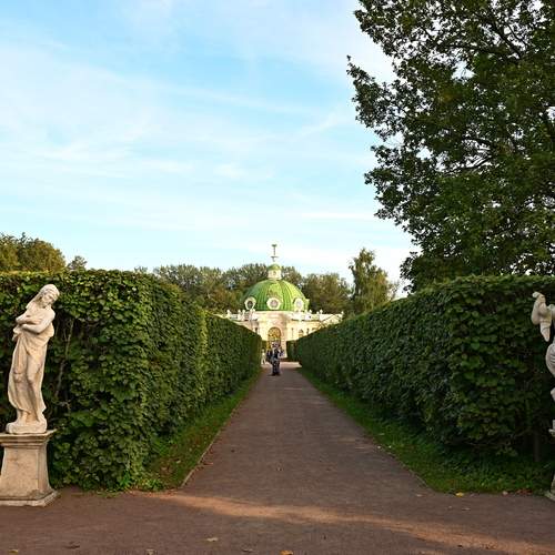 Photo #13085545