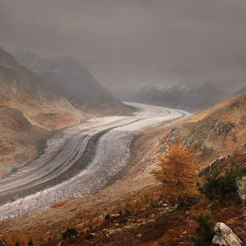 Photo #13085551
