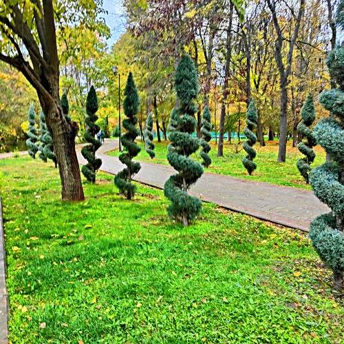 Photo #13085784