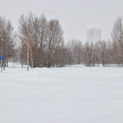 Photo #13085812