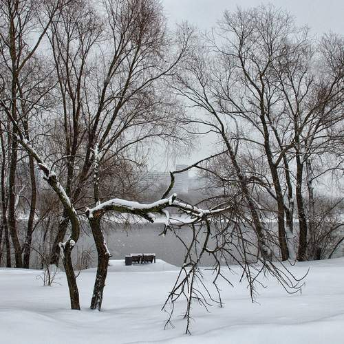 Photo #13085813