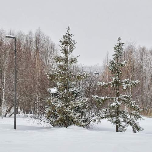Photo #13085814