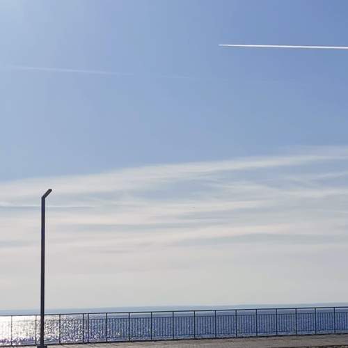 Photo #13085954