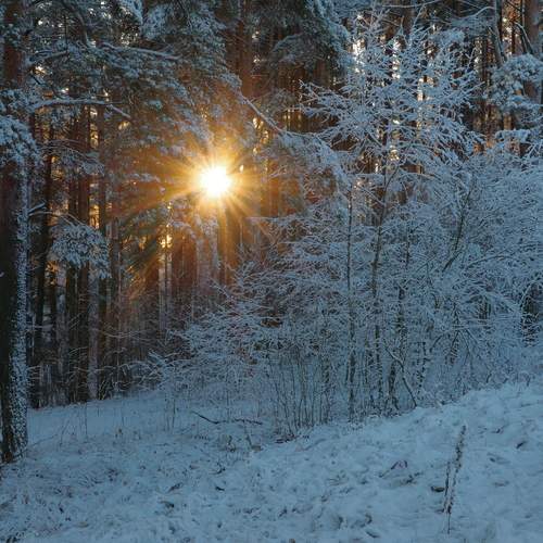 Photo #13085962