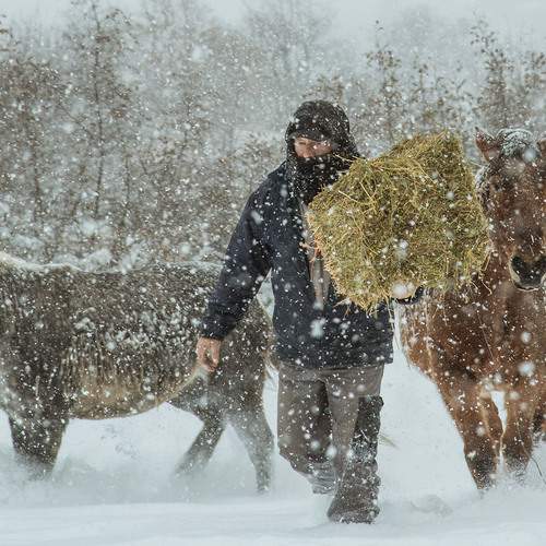 Фотография #13086113