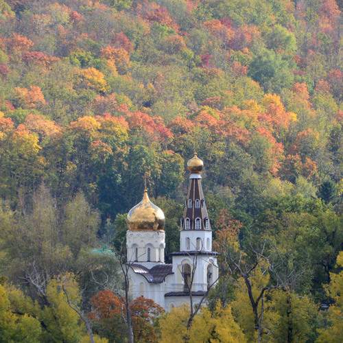 Photo #13086125