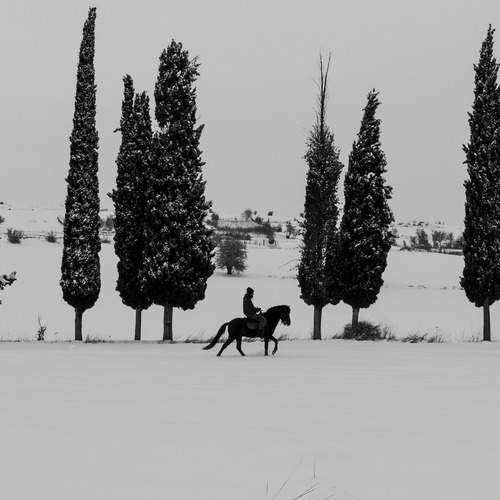 Фотография #13086130