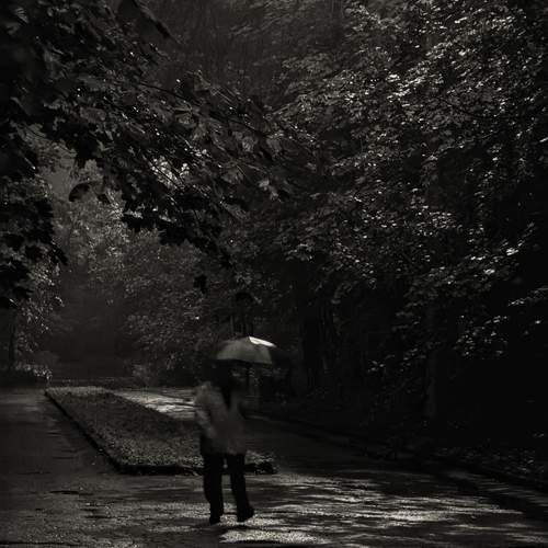 Фотография #13086298