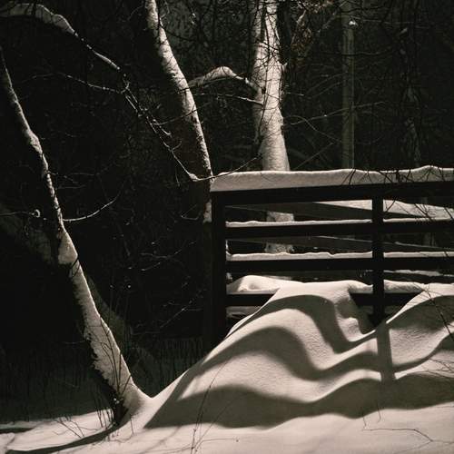 Фотография #13086337