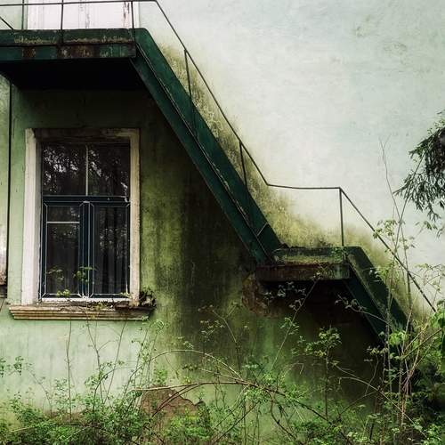 Фотография #13086436