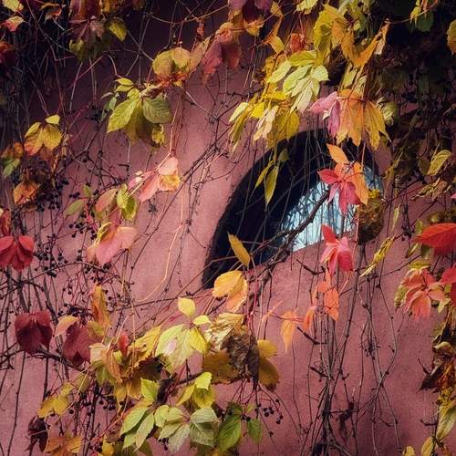 Фотография #13086462