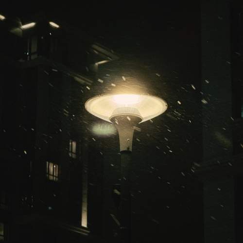 Фотография #13086492