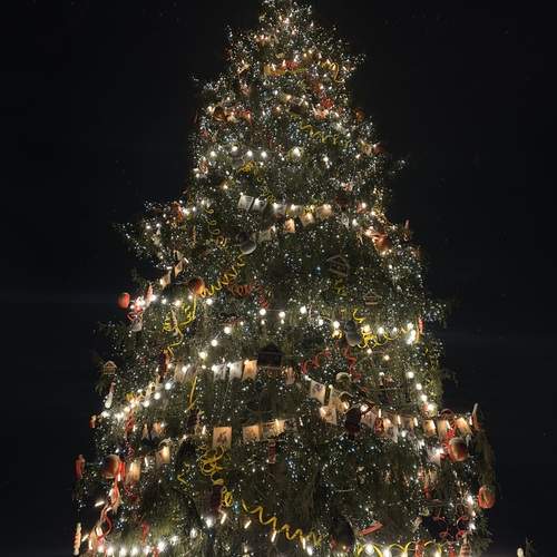 Photo #13086547