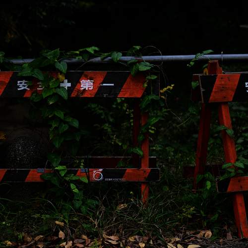 Фотография #13086567