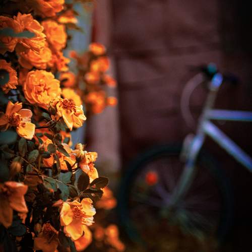 Photo #13086569
