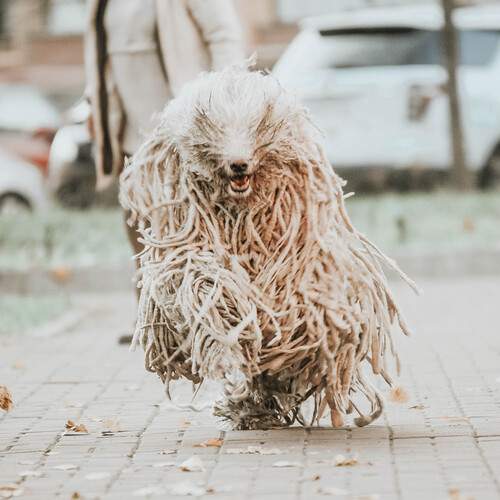 Фотография #13086623