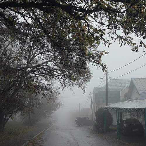 Photo #13086774