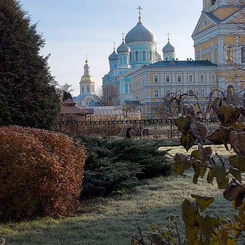 Photo #13086775