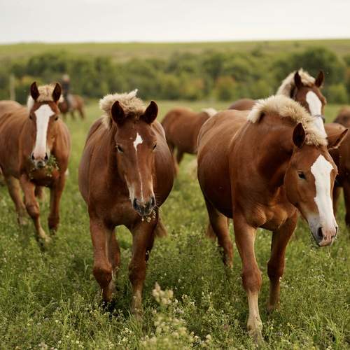 Фотография #13086841