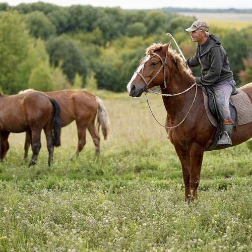 Фотография #13086842