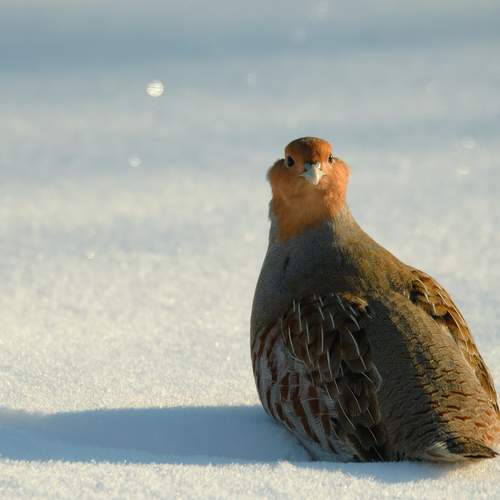 Photo #13086863