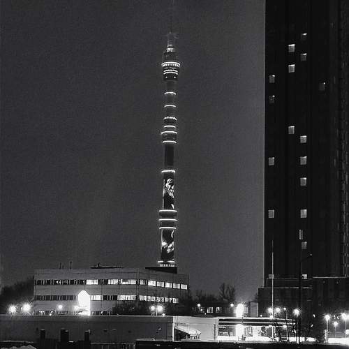 Photo #13086869