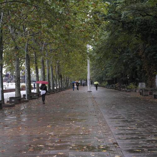Photo #13086926